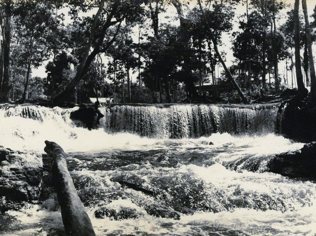 Cachoeira do Tarumãzinho - Instituto Durango Duarte