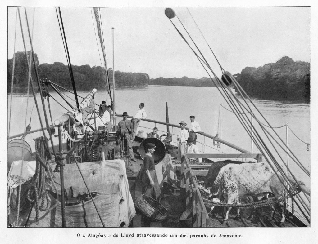 Barco Alagoas Navegando