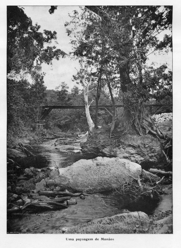 Album do Amazonas 1901-1902