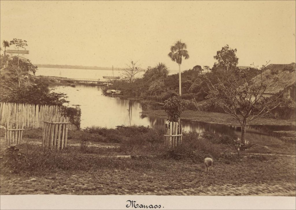 Vista ribeirinha de Manaus - Instituto Durango Duarte